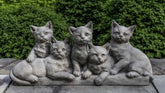 Photo of Campania Quintuplets - Exclusively Campania